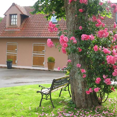 Hotel Du Moulin Aux Draps Desvres Bagian luar foto