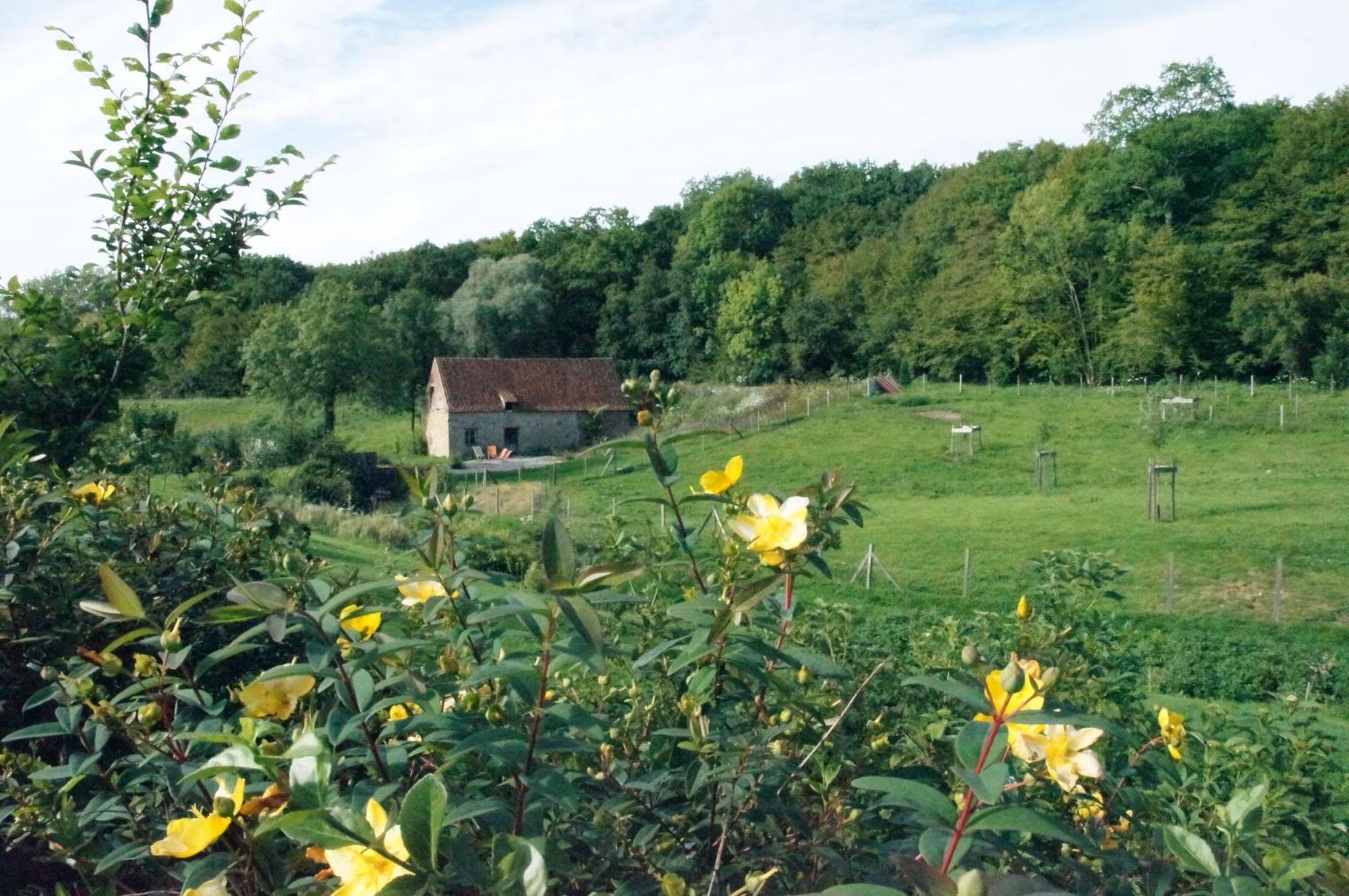 Hotel Du Moulin Aux Draps Desvres Bagian luar foto